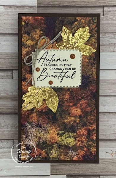designer series paper fall themed cards