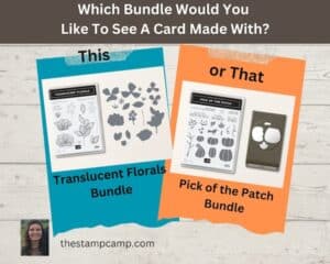 Final Decision For This Or That Is Pick of the Patch Bundle