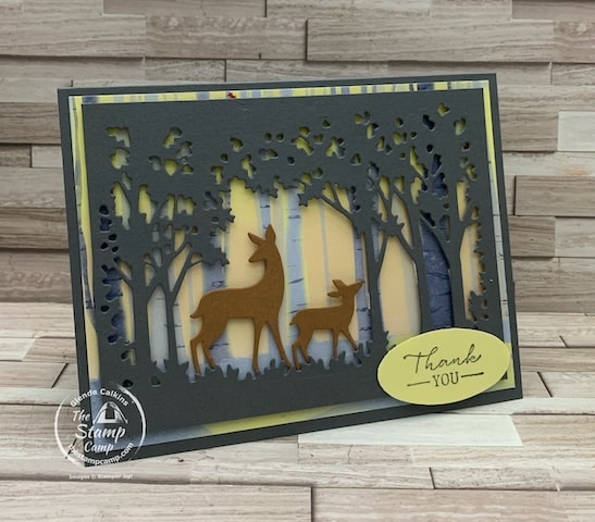 simple card with one horse open sleigh designer series paper