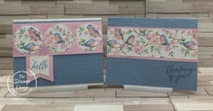 Flight & Airy Sale-a-bration Designer Series Paper SO Fun!