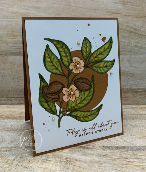 simple cards with designer series paper