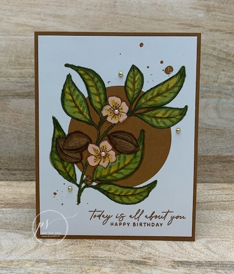clean and simple handmade cards with designer series paper