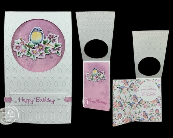 flight and airy designer series paper fun fold cards