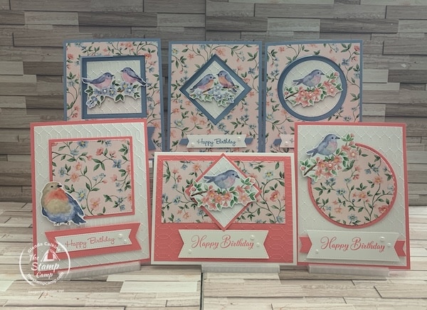 one sheet wonder cards with designer series paper