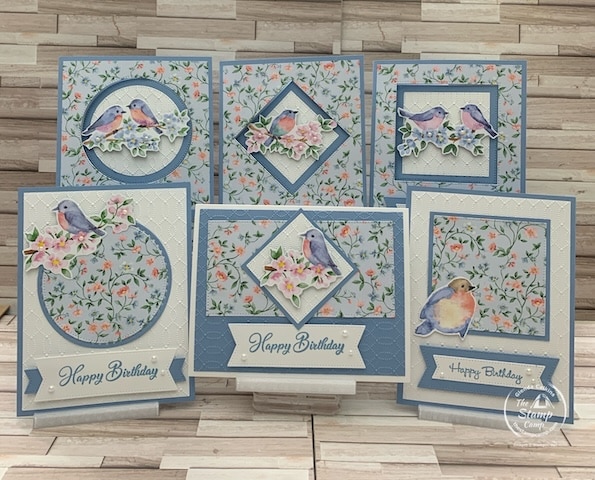 one sheet wonder cards with designer series paper