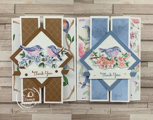 fun fold cards with sale-a-bration designer series paper