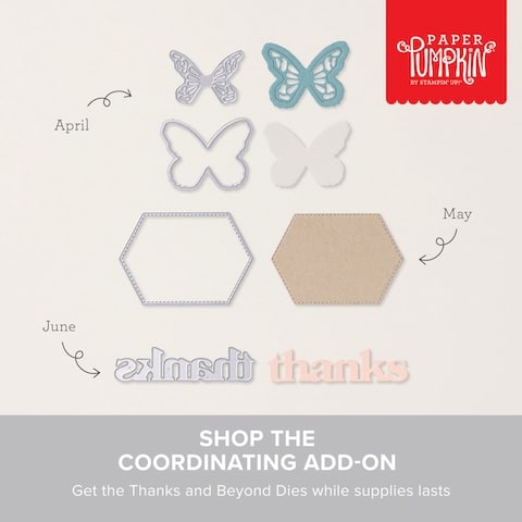 paper pumpkin add on kit stamping specials